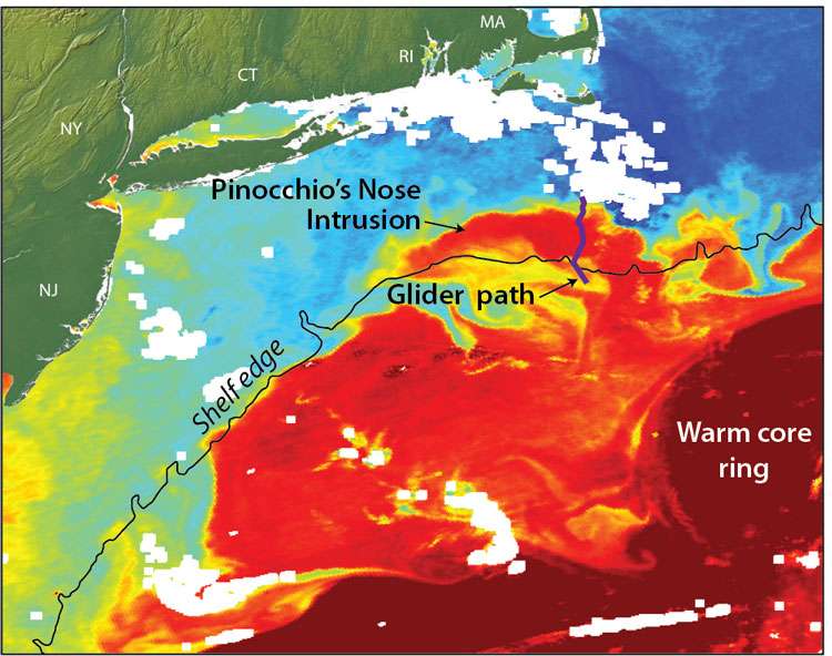 Gulf Stream ring water intrudes onto continental shelf like 'Pinocchio's nose'