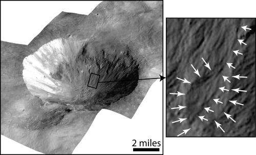Gullies on Vesta suggest past water-mobilized flows
