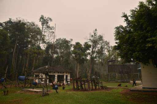 Haze caused by forest and peatland fires hang over an orangutan rehabilitation centre operated by the Borneo Orangutan Survival 