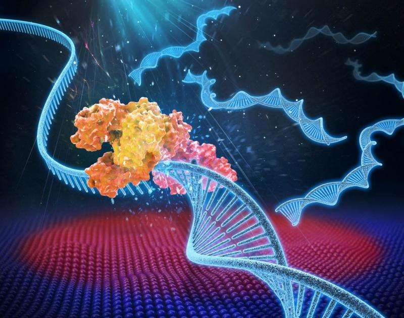 Heating and cooling with light leads to ultrafast DNA diagnostics