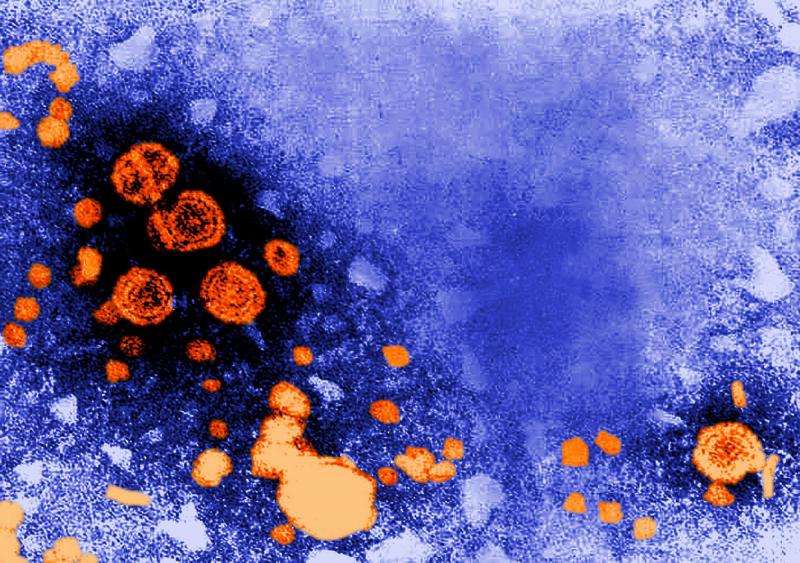 Hepatitis B continues to be a global health problem