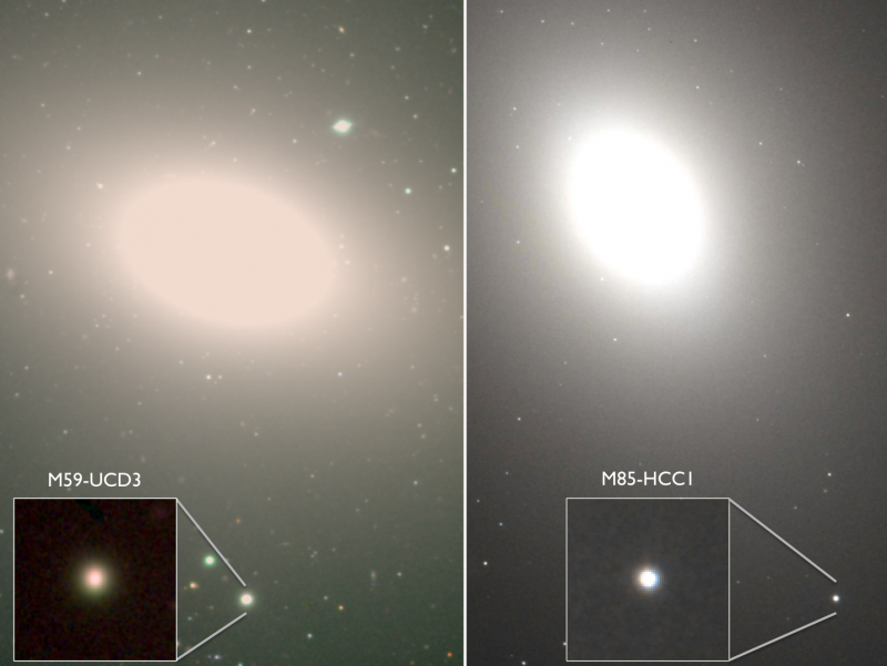Hiding in plain sight: Undergraduates discover the densest galaxies known