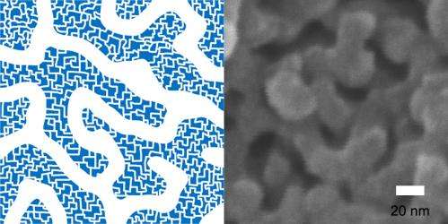 Hierarchically porous polymers with fast absorption