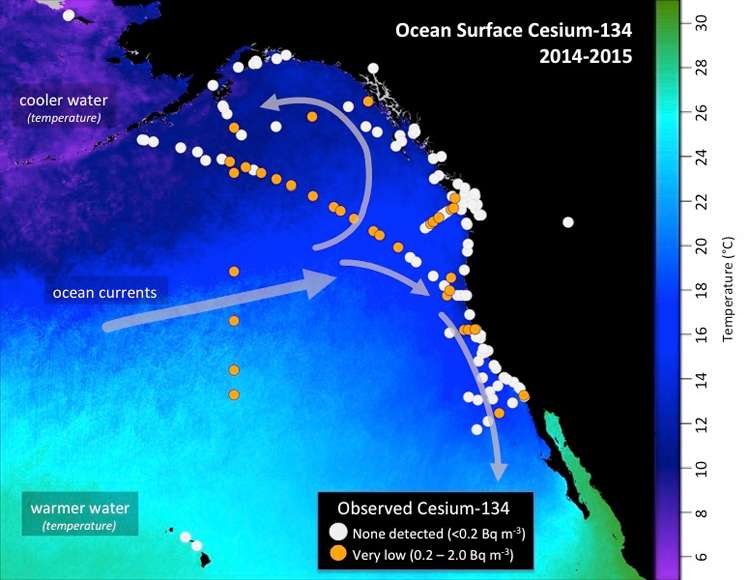 Higher levels of Fukushima cesium detected offshore