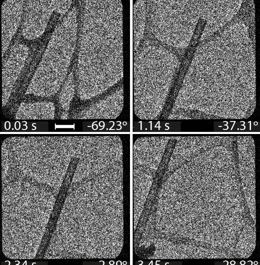 High-speed electron tomography sets new standards for 3D images of the nanoworld