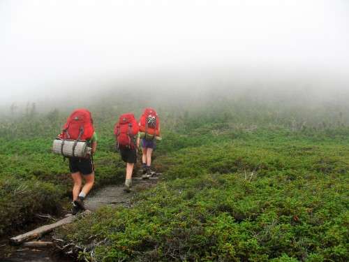 Hiking in the Appalachian Mountains? Here’s how you can contribute to science while you’re at it