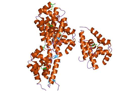 How a molecular motor untangles protein