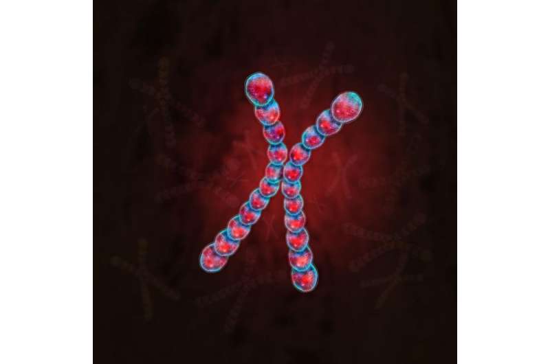 How an RNA gene silences a whole chromosome