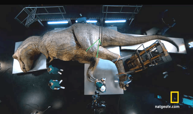 How I dissected a T. rex (it took chainsaws, feathers and lots of latex)