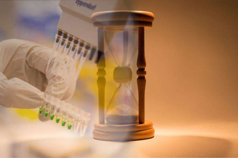 How proteome analysis can help to slow down aging