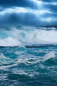 How sea spray particles evolve in the atmosphere