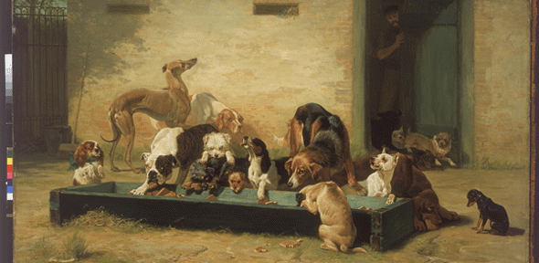 How the dog found a place in the family home – from the Victorian age to ours