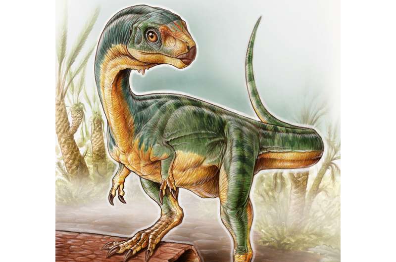 How we identified weird and wonderful 'Jurassic platypus' dinosaur