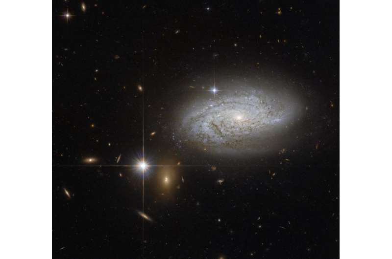 Hubble view of a cosmological measuring tape