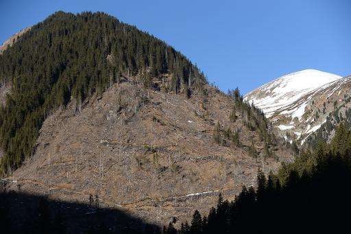 Illegally deforested mountains in Pojarna Valley, in the heart of the Romanian Carpathian Mountains, on January 16, 2014