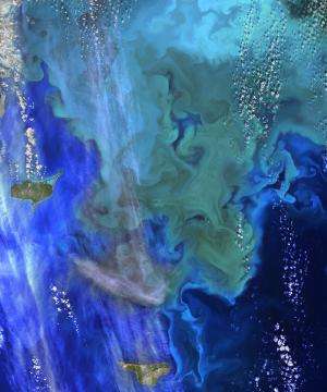 Image: Coloring the sea around the Pribilof Islands