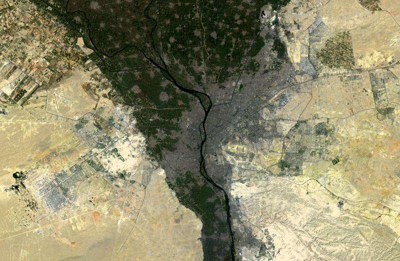 Image: Nile delta fertility