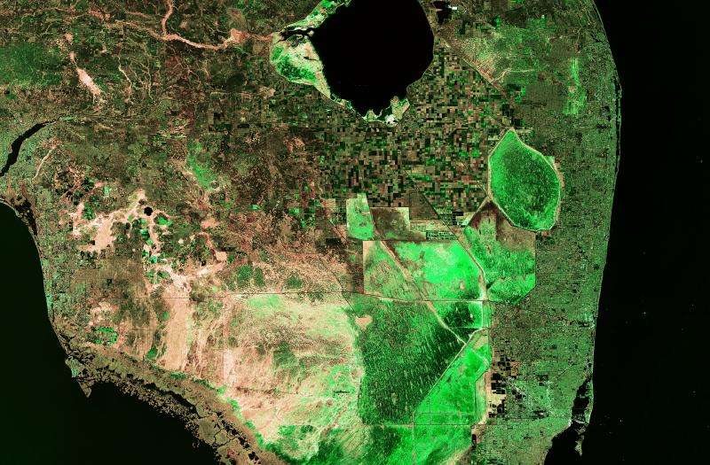Image: Sentinel-1A satellite images Florida