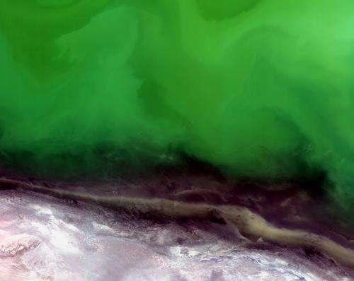 Image: Shoreline of the northeastern Caspian Sea