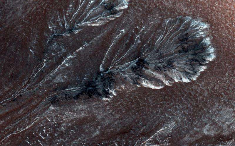Imge: Frosty gullies on the northern plains of Mars