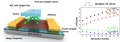 Imitating synapses of the human brain could lead to smarter electronics