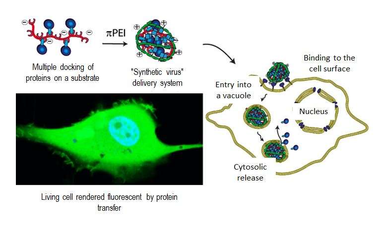 Imitating viruses to deliver drugs to cells
