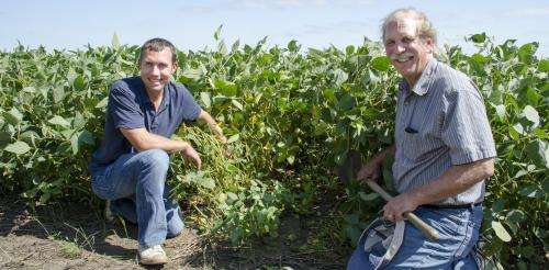 Improved soil condition increases moisture for crops