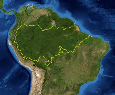 Increased deforestation could substantially reduce Amazon basin rainfall