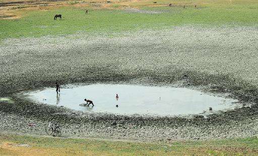 Indian fishermen catch fish in a shrunken pond in the village of Phaphamau on the outskirts of Allahabad on May 26, 2015