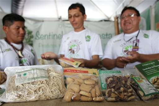 Indigenous from Amazon see Brazil nut as forest's future
