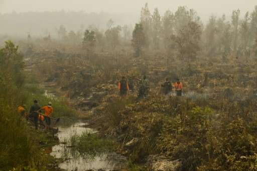Indonesia, one of the world's biggest greenhouse gas emitters, said it would reduce deforestation, restore degraded forests, and