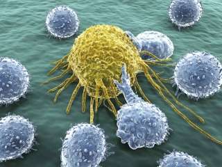 先天免疫可能有助于抑制癌症的生长
