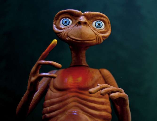 Intelligent life in the universe? Phone home, dammit!