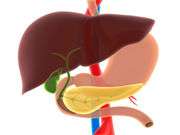 Intra-pancreatic triacylglycerol drops with weight loss in T2DM