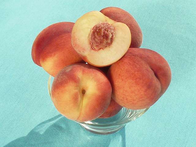 Introducing Gulfsnow, a new peach variety from ARS