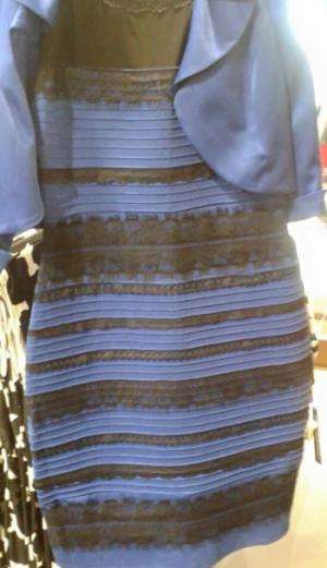 这件连衣裙是白色和金色还是蓝色和黑色?Rice是视觉感知方面的专家