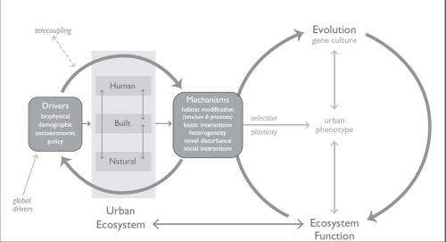 Is urbanization pushing Earth’s evolution to a tipping point?