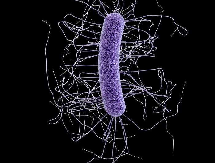 It takes a village... to ward off dangerous infections? New microbiome research suggests so