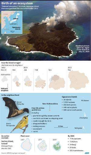 Japan's new Nishinoshima island, which emerged from a volcanic eruption in November 2013