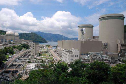 Kansai Electric Power Co (KEPCO) Takahama nuclear plant, pictured in Fukui prefecture, western Japan, on June 27, 2013
