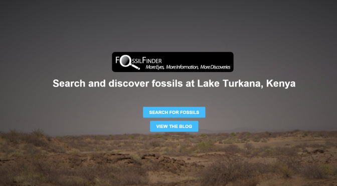 Kites, drones, armchair finders in Turkana Basin fossil search