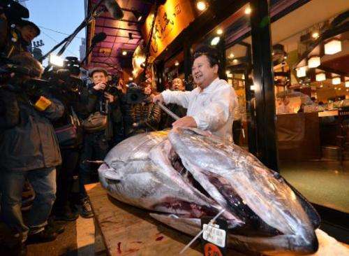 Kiyoshi Kimura, president of the Sushi-Zanmai restaurant chain, displays a 180kg bluefin tuna at his main restaurant near Tokyo'