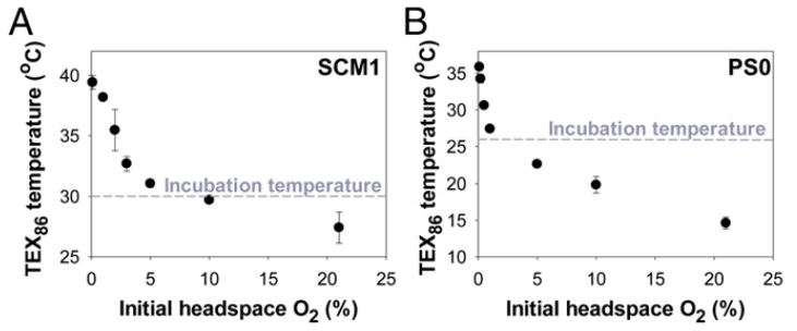 Lab experiments question popular measure of ancient ocean temperatures