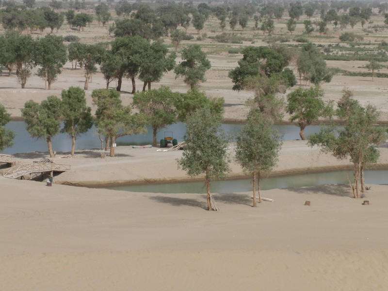 Last chance for oasis in China's desert