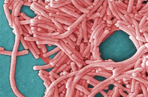 Legionnaires' outbreaks not unusual in summer and early fall