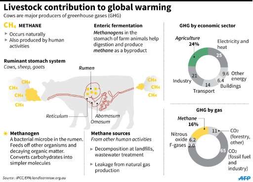 Livestock contribution to global warming