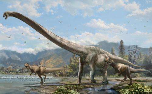 Long-necked 'dragon' discovered in China