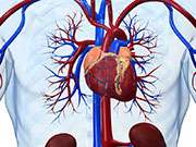 Long-term post-CABG mortality increased with diabetes