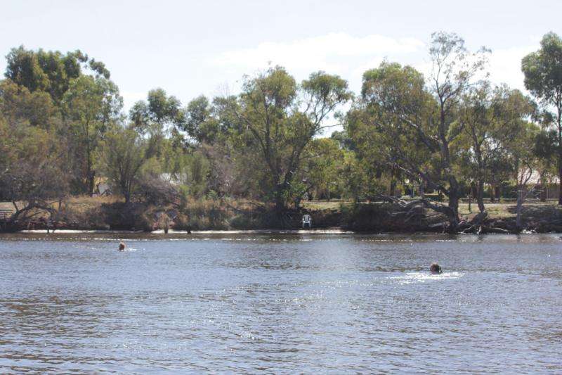 Lower Murray River restoration underway