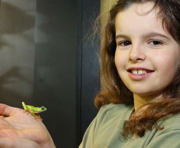 Lucy, 9, is face of global fight to save frog from extinction